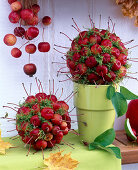Balls with ornamental apples and moss