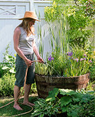Frau füllt Holzfaß mit Iris (Sumpfiris), Typha (Rohrkolben)
