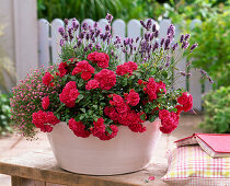 Planting bowl with rose and lavender