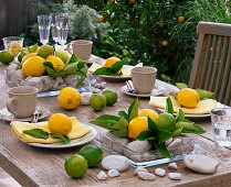 Zitronen - Tischdekoration