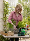 Plant a herb basket