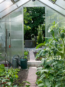 Greenhouse with cucumis (cucumber) and lycopersicon (tomato)