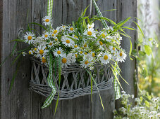 Basket with small bouquets of Tanacetum, Leucanthemum