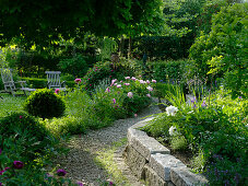 Wall made of granite blocks, path made of gravel, herbaceous beds with Paeonia