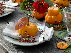 Table decoration with small pumpkins and zinnias