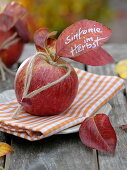 Autumn napkin deco, apple (malus) with corded heart