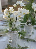 Christmas table decoration with orchids in white