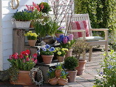 Plant stairs with spring bloomers