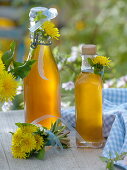 Dandelion syrup in bottles, small Taraxacum bouquet