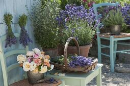 Kräuter - Terrasse mit Lavendel 'Hidcote Blue' (Lavandula)