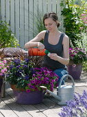Woman fertilizing tub with balcony flowers