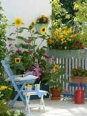 Summer flowers balcony with yellow-red seeding box