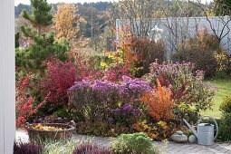 Autumn bed with shrubs and perennials