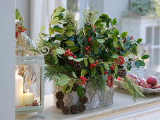 Christmas arrangement with Ilex (holly), Pinus (pine)