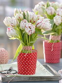 Tulipa 'Carneval De Nice' (Tulip) standing bouquet