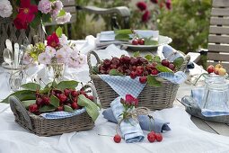 Kirschenfest: Süßkirschen (Prunus avium) in Körben, Serviette mit Rosenblüten