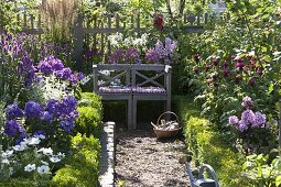 Farm garden with flowering perennials and summer flowers