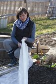 Woman covering flowerbed with sown vegetable seeds with fleece