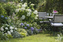 Shade bed with hydrangeas and perennials