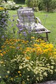 Yellow summer bed with perennials and summer flowers