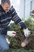 Weihnachtsbaum in Ständer stellen und schmücken