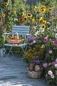 Summer flower bed on wooden deck