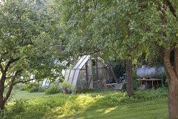 Greenhouse between fruit trees, liquid manure barrel