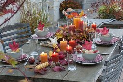 Autumn table decoration with colorful autumn leaves