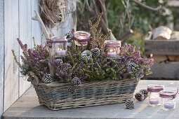 Basket planted with Erica carnea (snow heather), glasses as lanterns