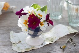 Small bouquet of Primula acaulis (spring primroses) in egg cups
