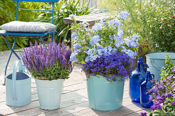 Blue enamel buckets with Salvia nemorosa 'Blauhuegel' (Steppe sage)