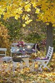 Set table under maple tree with golden yellow leaves