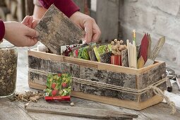 Holzkiste mit Verkleidung aus Rinde als Aufbewahrungsbox für Samen