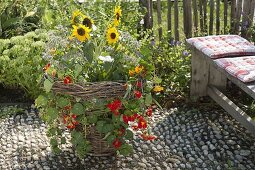 Woman planting summer flowers in homemade wicker basket