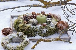Wooden tray with moss wreath, cones and tree glass cones