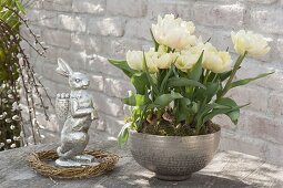 Silberne Schale mit Tulipa 'Montreux' (Gefuellten Tulpen), silberner Osterhase