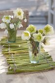 Small Helleborus niger bouquets on mat of branches