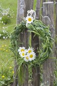 Maiengrün wreath braided from grasses, decorated with Leucanthemum