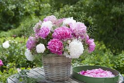Pink-white bouquet of Paeonia and grasses in wicker vase