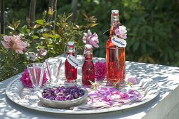 Bottles of rose liqueur and rose syrup, flowers of Rose (rose)