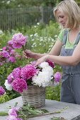 Woman putting pink-white bouquet of Paeonia and grasses