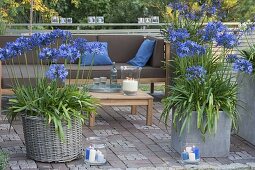 Terrace in the evening light, tub with agapanthus, lanterns