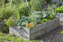 Homebuilt raised bed of boards with vegetables