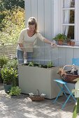 Kunststoffkasten mit Haube als Frühbeetkasten auf der Terrasse
