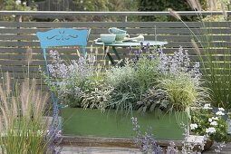 Grüner Holzkasten mit Lavendel 'Oxford Gem' (Lavandula), Salbei 'Tricolor'