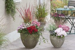 Autumnally planted gray tubs