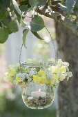 Preserving jar as a lantern with flowers from Antirrhinum