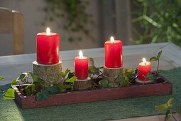 Ungewoehnlicher Adventskranz aus Astscheiben mit roten Kerzen und Hedera