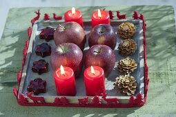Holz-Untersetzer mit 4 roten Kerzen, Äpfeln (Malus), Zapfen
