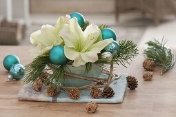 Bowl with Hippeastrum flowers, Pinus branches